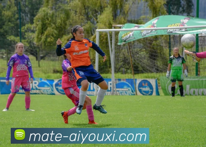 爱游戏平台生态图